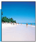 http://www.bioprogramacion.com/telefonorojo/imagesnews/caribe.gif