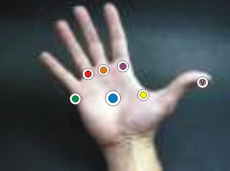 http://www.bioprogramacion.com/telefonorojo/puntos9/mano.jpg