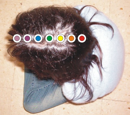 http://www.bioprogramacion.com/telefonorojo/puntos9/craneo.jpg