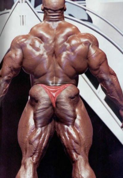 http://www.bioprogramacion.com/telefonorojo/img/ronniecoleman2.jpg
