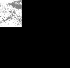http://www.bioprogramacion.com/images/perro1.gif