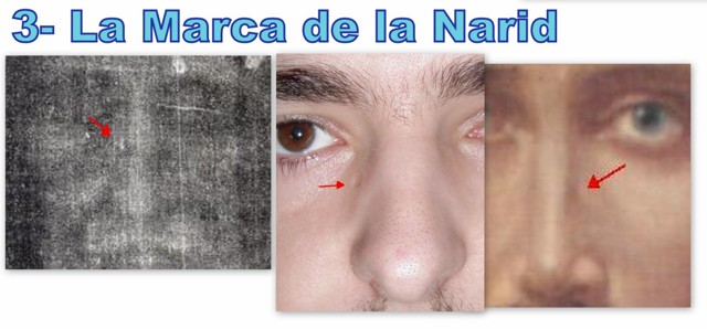 http://web.archive.org/web/20120625111635im_/http:/www.queescristo.com/videos/images/640px-la_marca_de_la_narid.jpg